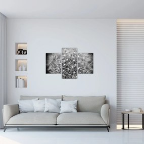 Tablou păpădie gri (90x60 cm)