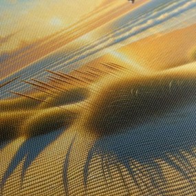 Tablou liniștea dimineții peste dune