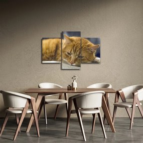 Tablou cu pisica (90x60 cm)
