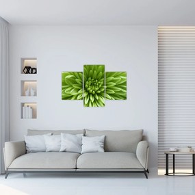 Tablou - Imagine macro a unei plante (90x60 cm)