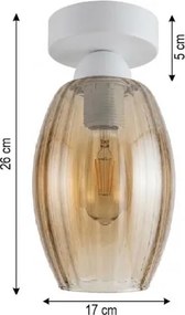 BRILAGI - Plafonieră LED R GLASS 1xE27/60W/230V Ø 17 cm alb/bej fumuriu