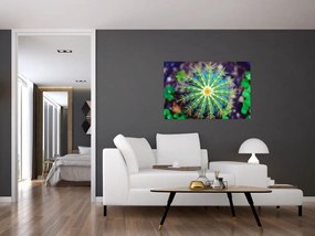 Tablou cu cactus (90x60 cm)