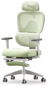 Scaun ergonomic MUSSO E600SE ADAPTIVE, șezut translatabil, cotiere 3D, suport lombar adaptiv, suport picioare, mecanism multifunctional inclinare/blocare, pivotant, Mesh, Verde