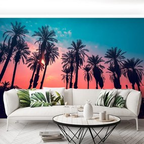 Fototapet Tropical Palm Copaci