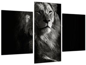 Tablou - Leu (90x60 cm)