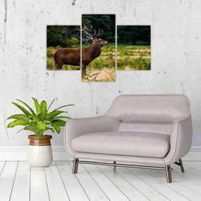 Tablou cu cerb (90x60 cm)