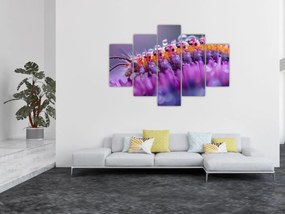 Tablou - Caterpillar (150x105 cm)