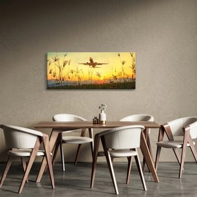 Tablou cu avion zburând (120x50 cm)