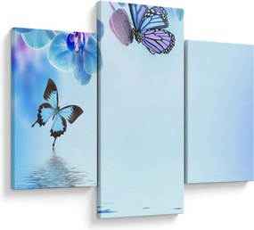 Tablou - Fluture pe flori de orhidee, albastru (90x60 cm)