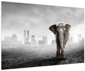 Tablou - Elefanți în oraș, versiunea alb-negru (90x60 cm)