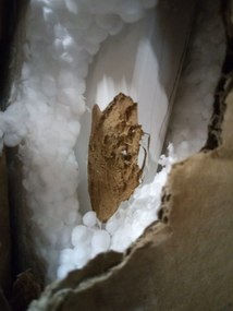 OFERTA Masa de dining alba BERGEN 120x80 cm calitate II