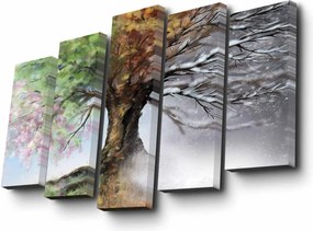 Set 5 tablouri 5PUC-042, multicolor, panza, 82x50 cm