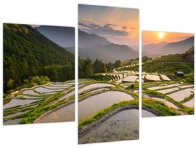 Tablou - Terase de orez (90x60 cm)