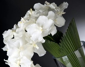 Aranjament floral elegant ORCHID PALMITOS 1141366.95