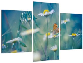 Tablou - Fluture pe margaretă (90x60 cm)