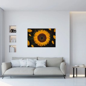 Tablou - Floarea soarelui și petale (90x60 cm)