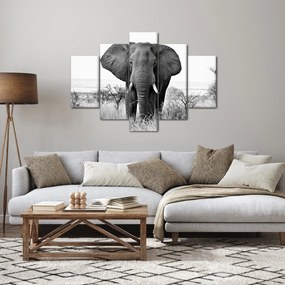 Tablou - Elefantul african II. (150x105 cm)