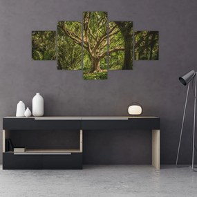Tablou cu copaci (125x70 cm), în 40 de alte dimensiuni noi