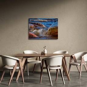 Tablou detailat - apa între pietre (70x50 cm)