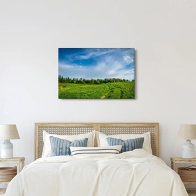 Tablou cu luncă (90x60 cm)