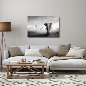 Tablou - Elefanți în oraș, versiunea alb-negru (90x60 cm)
