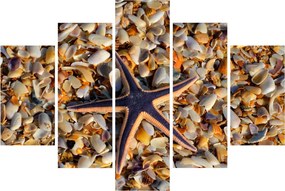 Tablou cu stea de mare (150x105 cm)