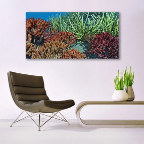 Tablouri acrilice Coral Reef Natura Multi