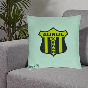 Perna Personalizata Aurul Brad Fotbal, 40x40 cm, Verde Menta, Husa Detasabila, Perna Inclusa, BEKZ®