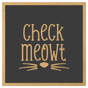 Tablouri Gravate - Cadouri Amuzante Pentru Prieteni - Diverse Modele