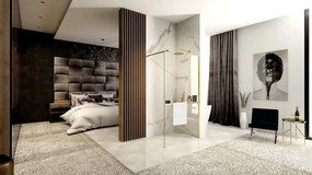 Panou de duș Rea Aero GoldBrush N 100 Walk In + EVO