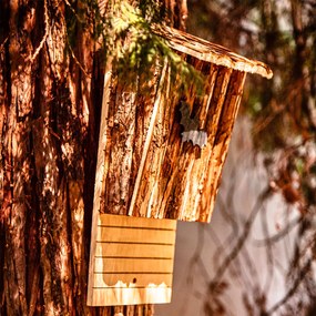 Casă pentru lilieci, casă pentru păsări, asistență pentru iarnă, locuibilă pe tot parcursul anului, lemn de brad