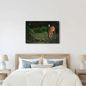 Tablou cu pui de cerb (90x60 cm)