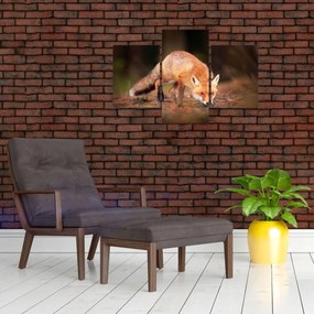 Tablou - Vulpe in pădure (90x60 cm)