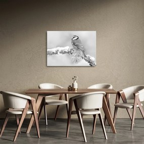 Tablou pe sticlă - O pasăre pe o creangă (70x50 cm)