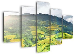 Tablou plantație (150x105 cm)