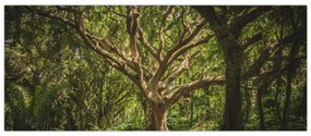 Tablou cu copaci (120x50 cm)