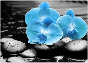 Tablou - Orhidee albastră (70x50 cm)