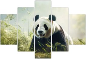 Tablou - Panda (150x105 cm)