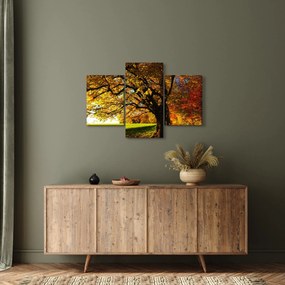 Tablou cu toamna (90x60 cm)
