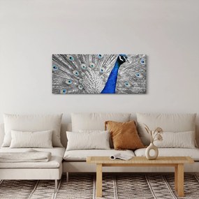 Tablou - păun albastru (120x50 cm)