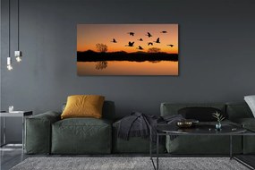 Tablouri canvas păsări care zboară apus de soare