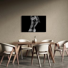 Tablou - Artă masculină (90x60 cm)