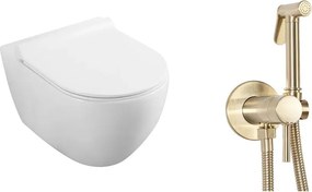 Pachet vas wc suspendat Fluminia, capac softclose si set dus igiena intima auriu cu baterie incastrata Rea Loop
