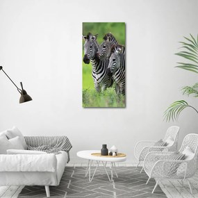 Tablou Printat Pe Sticlă trei zebre