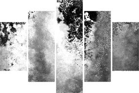 Tablou - Eclozare (150x105 cm)
