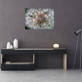 Tablou pe sticlă cu păpădie (70x50 cm)