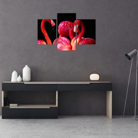 Tablou cu flamengo roșii (90x60 cm)