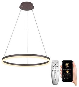 Lustră LED dimabilă pe cablu Brilagi CIRCLE LED/42W/230V 3000-6500K maro + telecomandă