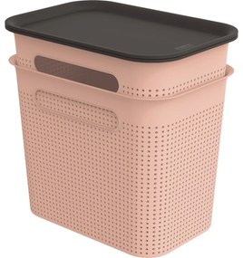 Cutii de depozitare roz-deschis 2 buc. din plastic cu capac 18,5x27x26 cm Brisen – Rotho