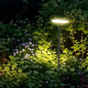 Lampă LED de exterior LED/12W/230V 3000K IP65 antracit